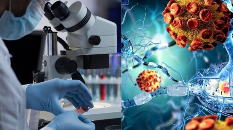 Лучик надежды забрезжил на горизонте